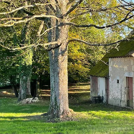 Les Maisons Sur La Colline بيت للعطل *